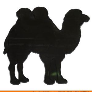 0043 Camel Side Shape