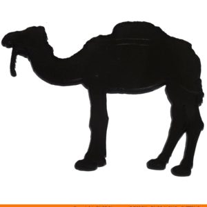 0044 camel side 2