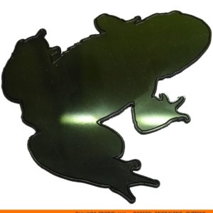 Amphibian