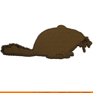 0069-mouse-desert