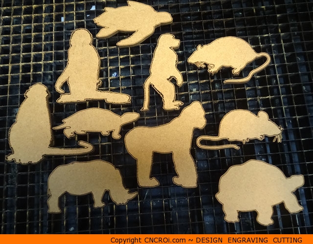 custom animal shapes
