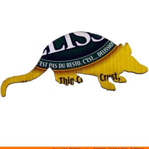 0077-armidillo-adult