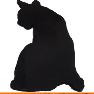 0089-cat-looking-aroundb
