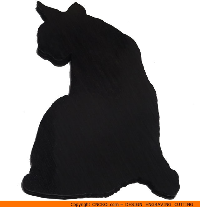 0089-cat-looking-aroundb