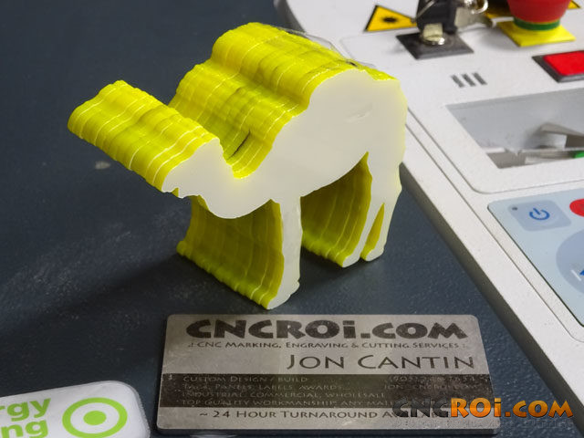 Neon Yellow Camels