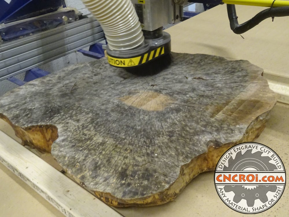 Don't Skip Kiln Drying! Bugs & Massive Warping
